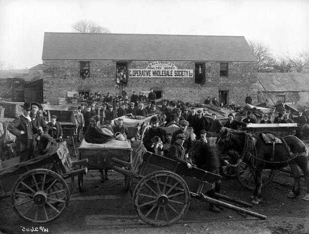 Black and white photograph of hundreds of men in front of and in the windows of a warehouse building. The men at the front of the photograph are sitting and standing in wagons and the warehouse has a sign reading "Ballygawley Poultry Depot - Co-operative Wholesale Society Ltd"