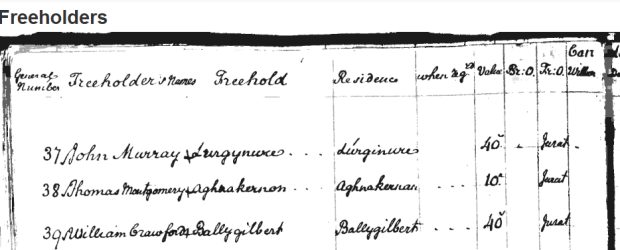 Webpage with the title "Freeholders" and a scanned black and white image of a book page featuring names, places and figures".